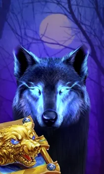 Book Of The Night Wolf